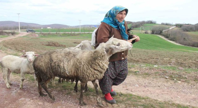 O dağların 60lık Heidisi