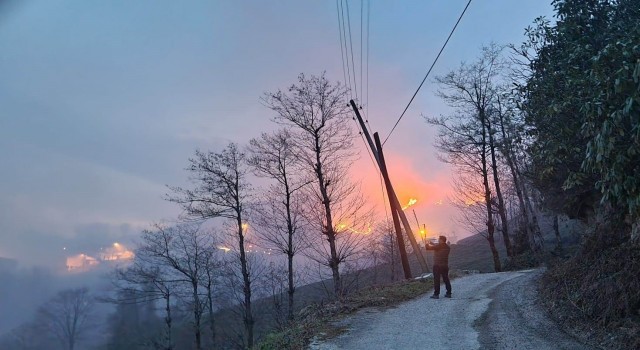 Ofta çıkan yangın lodosun etkisiyle büyüdü