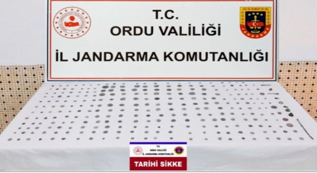 Orduda Roma dönemine ait 293 sikke bulundu