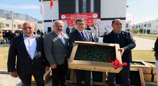Örende üreticilere 100 bin ıtri bitki dağıtıldı