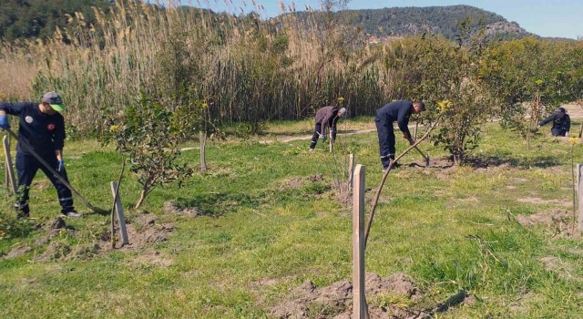 Ortacada çevre temizlik ve düzenlemesi devam ediyor