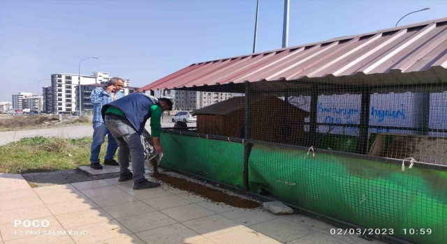 Osmaniyede sokak hayvanlarına mama desteği