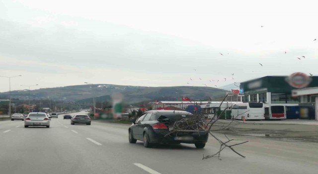 Otomobil ile yolda ağaç taşıdı, trafiği tehlikeye düşürdü