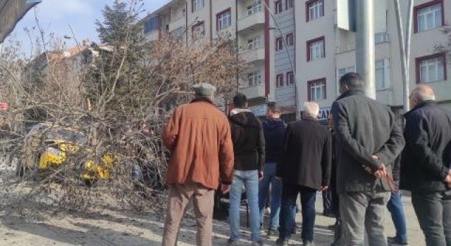 Otomobilin çarptığı ağaç devrildi: 1 yaralı
