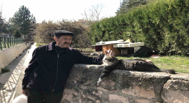 (ÖZEL) Komşularının istemediği kedileri için parka ev yaptı