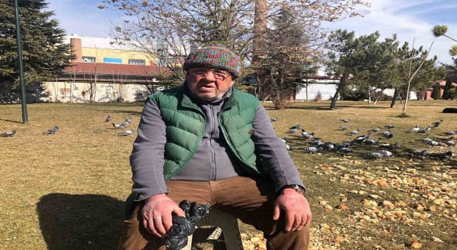 (ÖZEL) Vatandaş tramvaylardaki sevimli dostlardan memnun