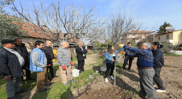 Pamukkale Belediyesinden budama ve aşılama kursu