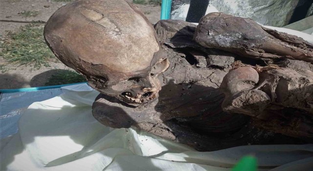 Peruda eski kuryenin çantasından mumya çıktı