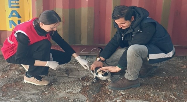 Polis kurtardı, Kızılay sahiplendi, adı Afet oldu