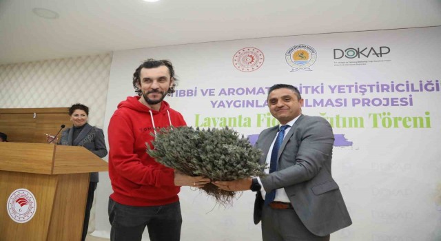 Samsunda 225 bin lavanta fidesi dağıtıldı