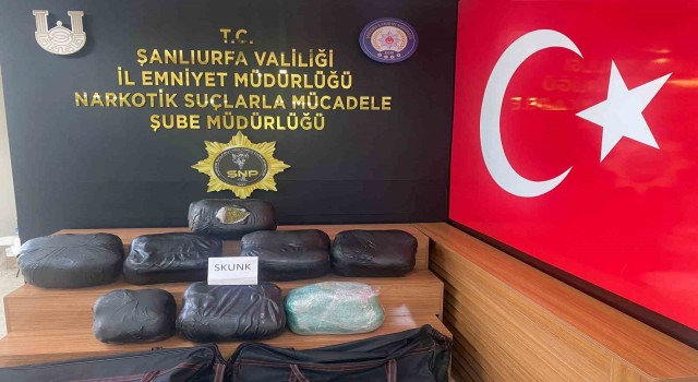 Şanlıurfada 32 kilogram skunk ele geçirildi: 2 gözaltı