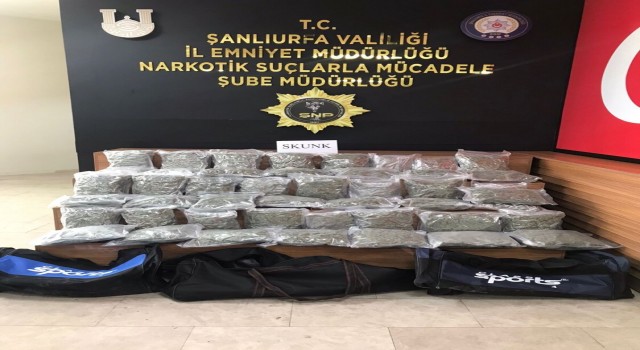 Şanlıurfada çekicide 25 kilo skunk ele geçirildi