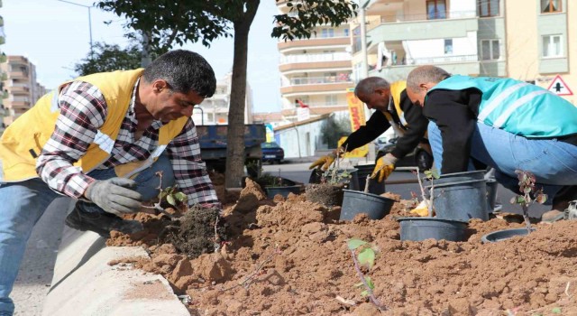 Şanlıurfada çiçek ekimi yapıldı