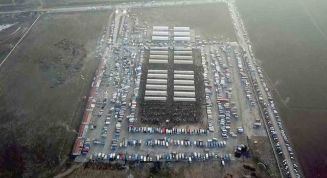 Şap tehdidi Türkiyenin en büyük hayvan pazarında yoğunluğu artırdı