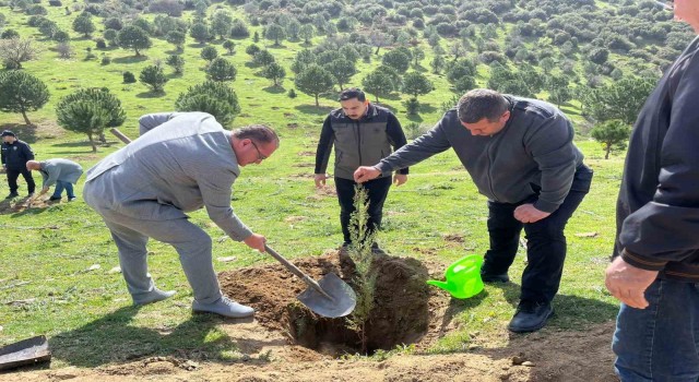 Sarıgölde Nevruz Bayramı kutlamaları