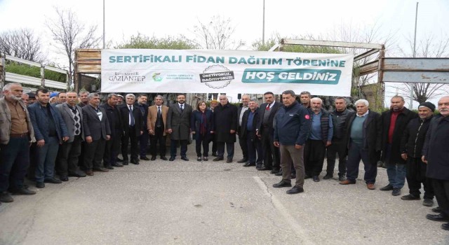 Şehitkamil, Yavuzeli ve Araban çiftçisine 50 bin fidan dağıtıldı