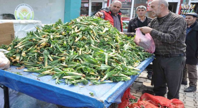Şifa kaynağı Çiriş otu tezgahlardaki yerini aldı