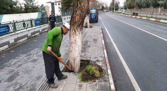 Siirtte park ve bahçelerde temizlik ve bakım çalışmaları başlatıldı