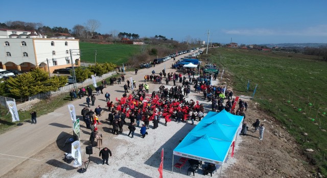 Sinopta 6 Şubat Deprem Şehitleri Hatıra Ormanı fidan dikim töreni