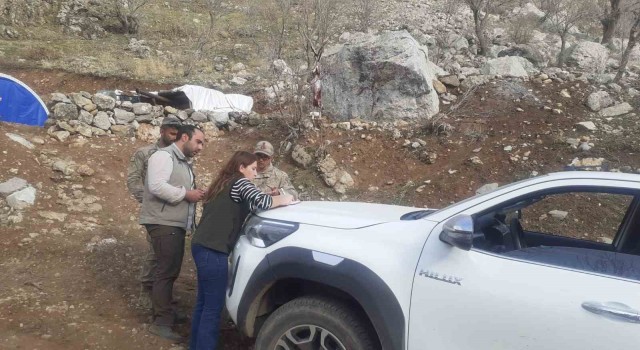 Şırnak'ta yaban keçisi avlayan şahsa 260 bin 900 TL ceza