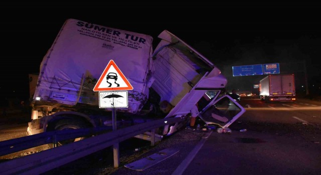 Şoför önüne çıkan hayvana çarpmamak için manevra yaptı, tır devrildi