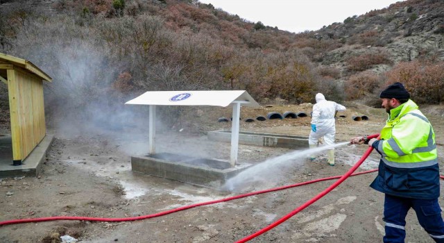 Sokak hayvanlarının beslenme noktaları dezenfekte ediliyor