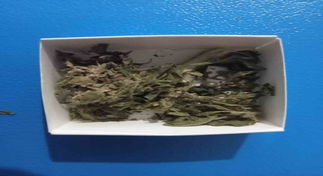 Şüpheli şahıslar uyuşturucuyla yakalandı