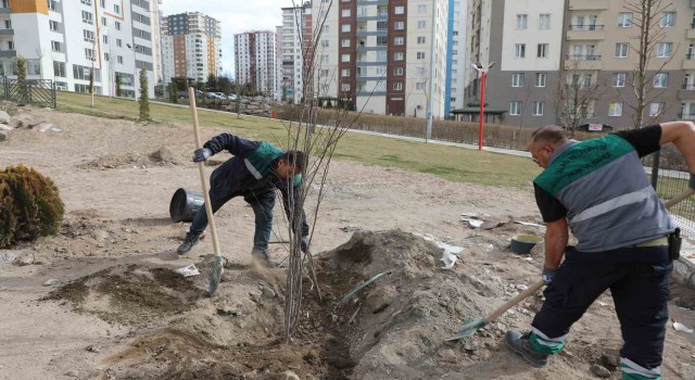 Talasta ağaçlandırma sezonu açıldı