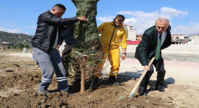 Taşova Millet Bahçesine 3 bin 500 fidan
