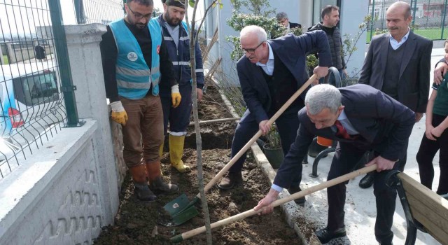 Tekkeköyde binlerce fidan toprakla buluştu