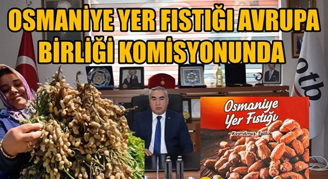 Ticaret Borsası Başkanı Çenet: "Osmaniye Yer Fıstığı Avrupa Birliği Komisyonunda"