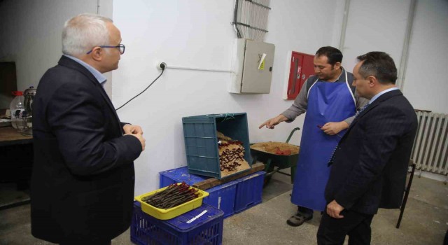 TOGÜ 10 bin adet tüplü aşılı asma fidanı üretecek