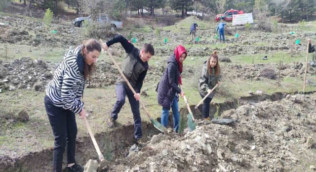 Tokatta “Deprem şehitleri hatıra ormanına” 2 Bin fidan dikildi