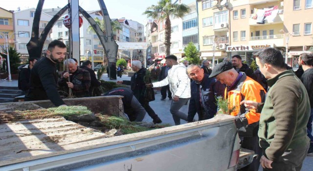Türkelide vatandaşlara 6 bin fidan dağıtıldı