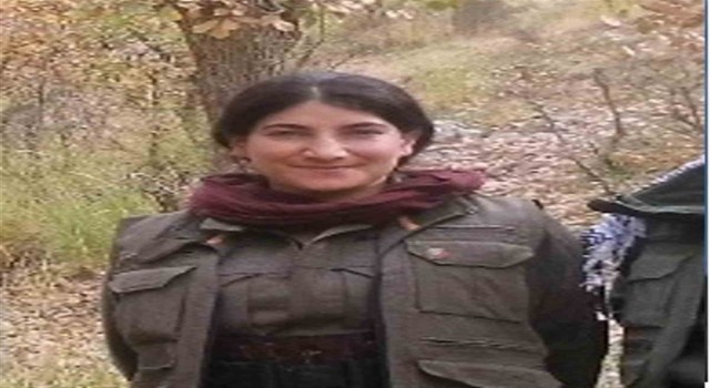 Türkiyedeki sözde en üst düzey terörist Hamiyet Yalçınkayanın karanlık geçmişi