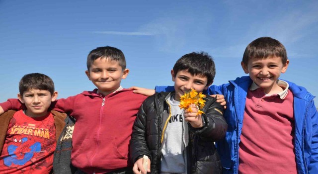 Unesco listesindeki “çiğdem gezmesi geleneği depremzedelerle yaşatıldı
