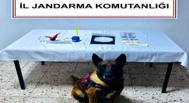 Uyuşturucu operasyonunda 2 kişi tutuklandı