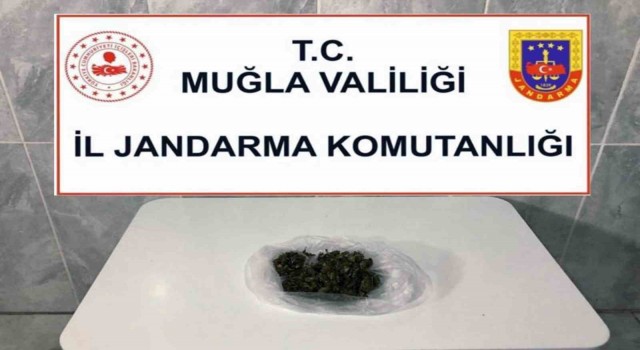 Uyuşturucu taciri narkotik köpek ‘Kaptandan kaçamadı