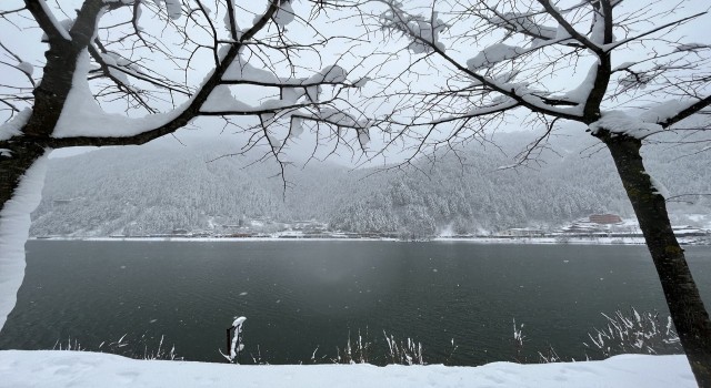 Uzungöl beyaza boyandı