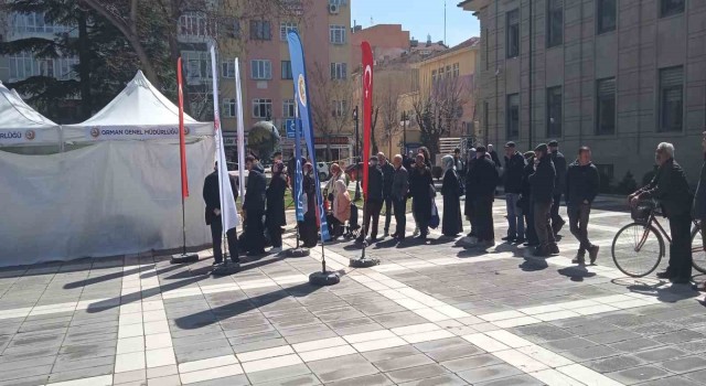 Valilikten vatandaşlara fidan dağıtımı