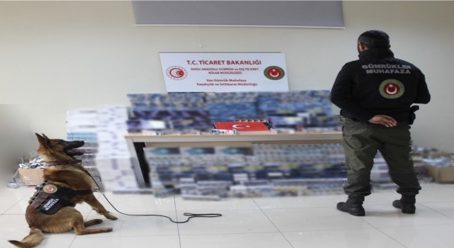 Vanda 17 bin 580 paket kaçak sigara ele geçirildi