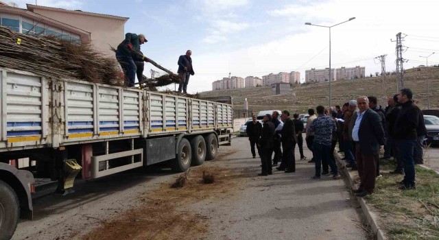 Vanda 31 bin adet meyve fidanı dağıtıldı