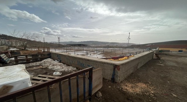 Yozgatta canlı hayvan pazarları tedbiren kapatıldı