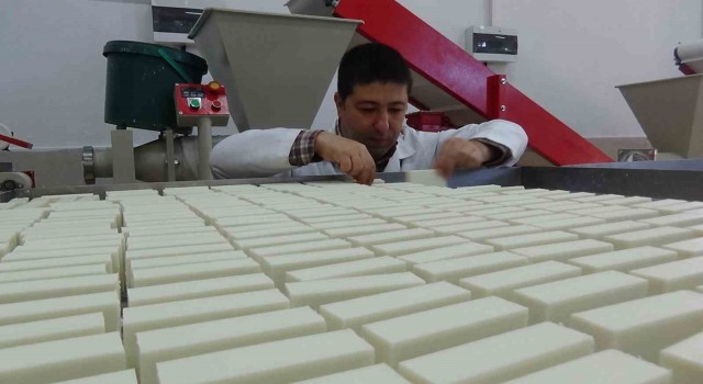 Zeytinyağlı sabun bileşenleri itibarıyla tuzdur