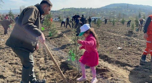 Zonguldakta 703 fidan deprem şehitleri anısına dikildi