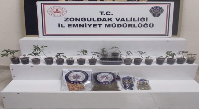 Zonguldakta uyuşturucu operasyonu: 1 gözaltı