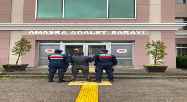 3 evin kül olduğu yangınla ilgili 1 kişi tutuklandı