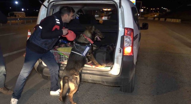 43 ilin geçiş güzergahında gece yarısı narkotik köpekli denetim: Araçlar didik didik arandı