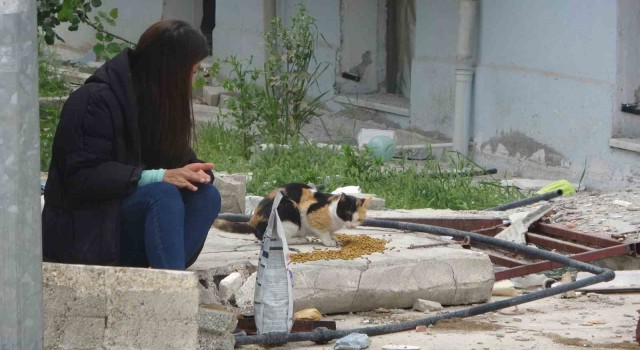 83 gündür Kekiki yıkık binalar arasında arıyorlar