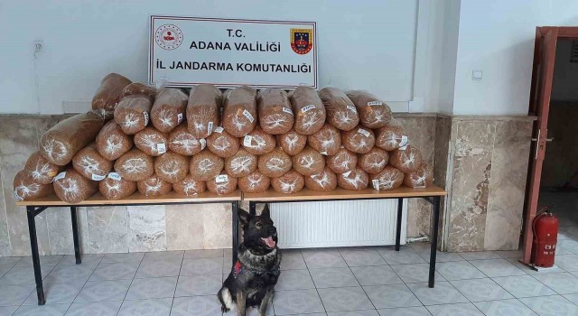 Adanada 925 kilogram kaçak tütün ele geçirildi